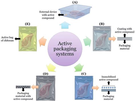 Routes for obtaining an active packaging system. | Download Scientific ...