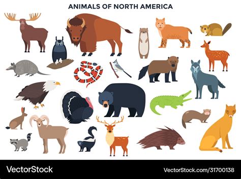 Animals north america Royalty Free Vector Image