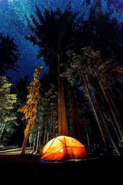 5 Must-Have Camping Gear for Beginners – US Times Mag