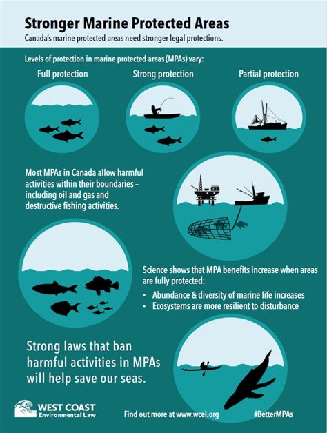 Infographic: Stronger Marine Protected Areas | West Coast Environmental Law