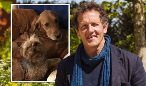 Monty Don dogs: What dogs does Gardeners’ World host have? | TV & Radio ...