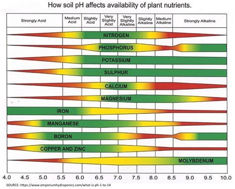 Soil pH & Engineered Media – Naturcycle