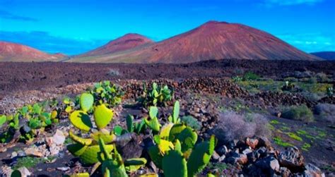 Entdecke die Top-Vulkane auf Lanzarote | Ferryhopper