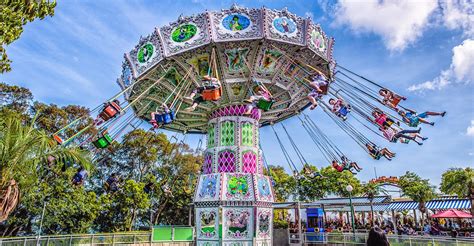 Flying Swing Thrills: High-Speed Amusement & Excitement | 香港海洋公园