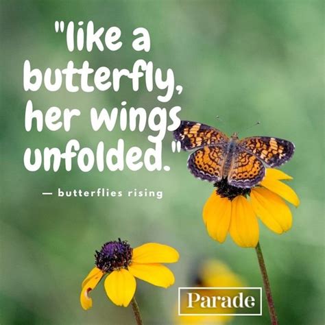 100 Butterfly Quotes | parade