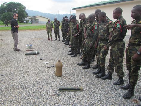 US troops conduct counter IED training in Cameroon | Article | The ...