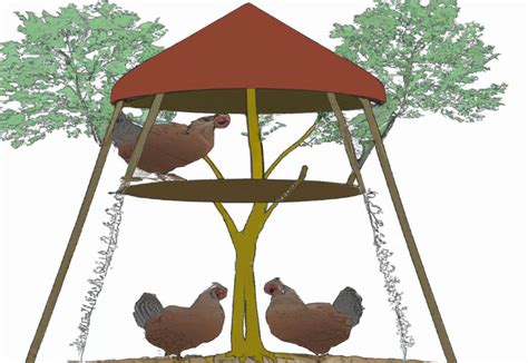 How To Make A Roost For Chickens