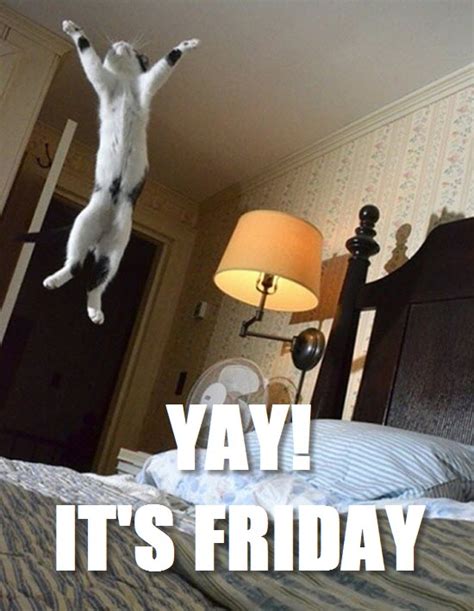 Yay! It's Friday!