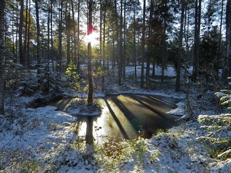 Winter in Sweden, deep in the forest [OC][1600x1200] : r/EarthPorn