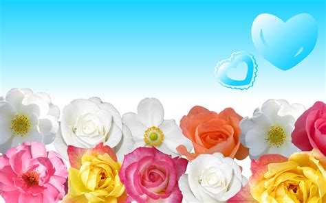 Flowers Wallpaper Download 1219 #7001273