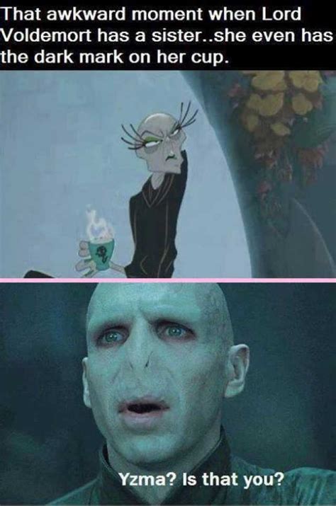 25 Memes Proving Lord Voldemort Was Less Than Intimidating As a Villain ...