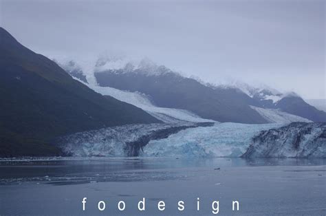 foodesign: College Fjord and Glacier Bay