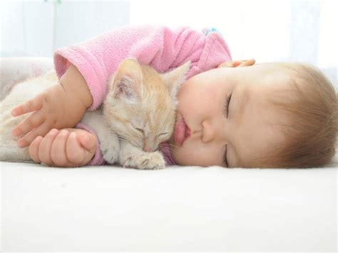 Cat Care: Why You Should Never Let Your Cat Sleep in Your Bed