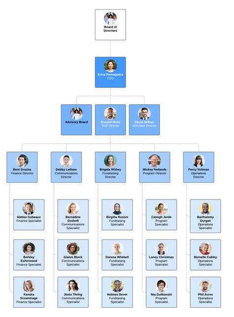 Types of Organizational Structures | Lucidchart Blog