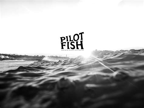 PILOT FISH CATALOGUE Short Version by pilot-fish - Issuu