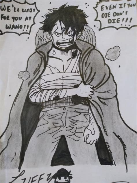 Even if you die, don't die!!(fan art of luffy) : r/OnePiece