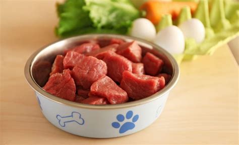 16 Best Raw Dog Foods [2023 Reviews] Meaty, Uncooked Dog Food!