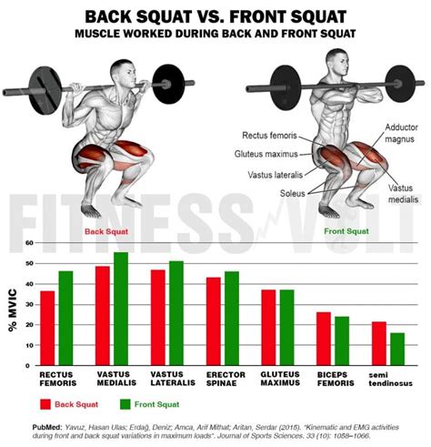 Front Squat vs. Back Squat – Which One Should You Do? – Fitness Volt