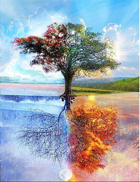 Four Seasons Tree Diamond Painting Kit at DiamondPaintingKits.com