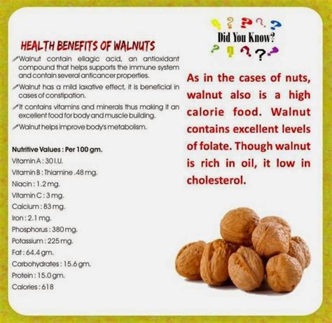 Walnut Health Benefits ~ Nutritionist Clinic