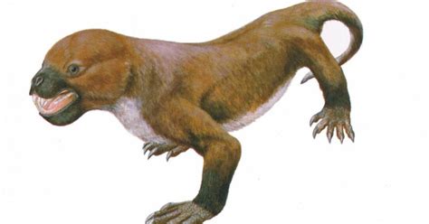 Ancient mammal-like reptile existed alongside early mammals - CBS News