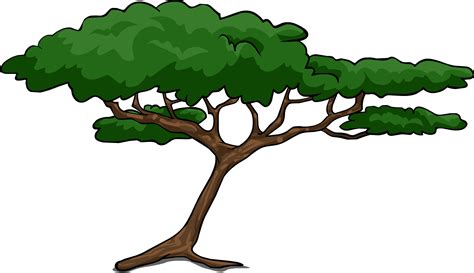 Jungle Tree Drawing at GetDrawings | Free download