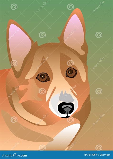 Welsh Corgi stock vector. Illustration of color, portrait - 3513989