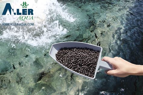 Fish feed for aquaculture | Highest quality produced by Aller Aqua