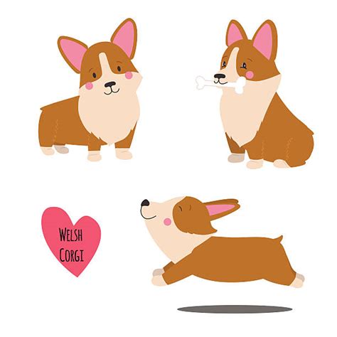 Royalty Free Pembroke Welsh Corgi Clip Art, Vector Images ...