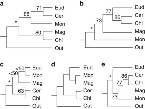 Five recently published representative topologies among eudicots (Eud ...