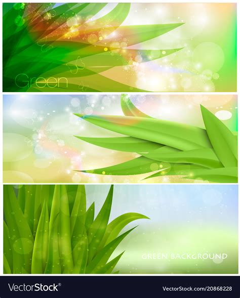 Grass nature banner for facebook design Royalty Free Vector