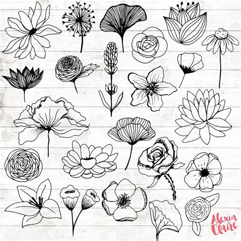 Realistic Easy Drawings Of Flowers - Kremi Png