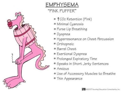 Nurses Notes: EMPHYSEMA