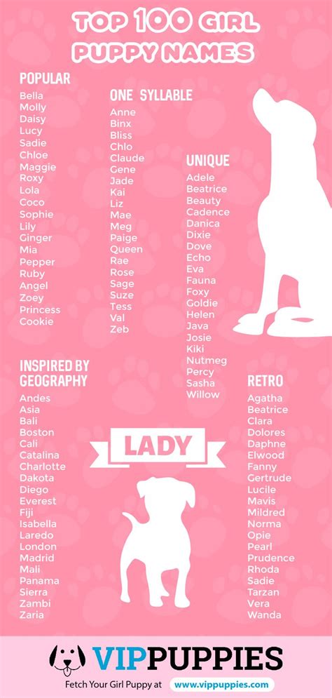 the top 10 dog names for puppies