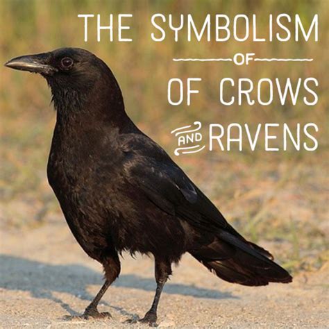 Raven Symbolism, Lore & Mythology | HubPages