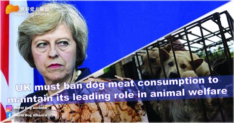 UK must ban dog meat consumption to maintain its leading role in animal ...