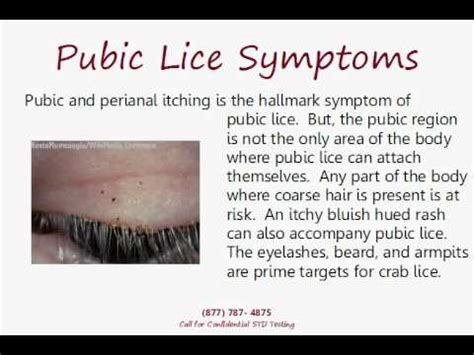 Prescription medicine for cold sores, treatment for crabs std ...