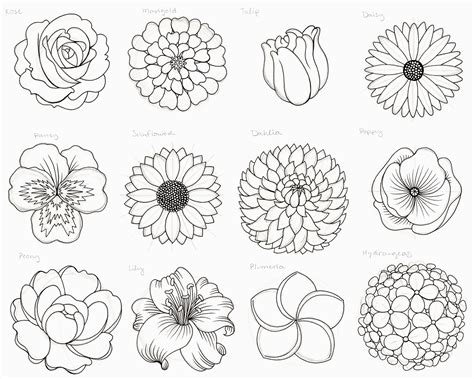 Drawing Images Of Flowers