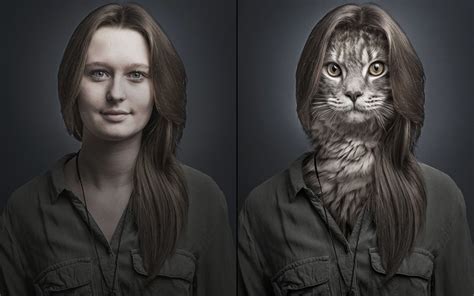 In pictures: Photoshop artist digitally transplants cats' faces onto ...