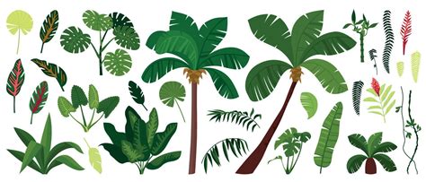 Jungle Plant Icon Set 8131980 Vector Art at Vecteezy