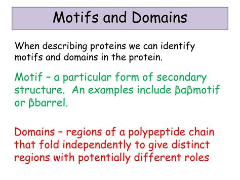 PPT - Lesson 5 – Proteins Levels of Protein Structure PowerPoint ...