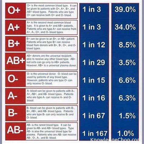 Blood Types | 🥷 Knowledge Ninja