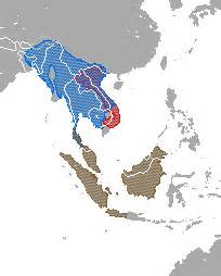 Slow loris - Simple English Wikipedia, the free encyclopedia