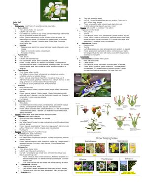 Synopsis 4 eudicots - Characteristics of eudicots Cyclic: alternating ...