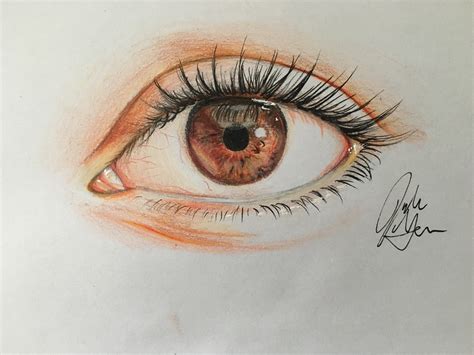 Color Pencil Drawing Eyes - pencildrawing2019