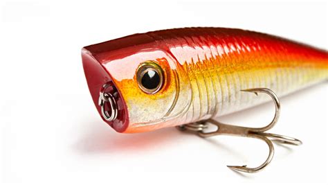 7 Essential Saltwater Fishing Lures That Catch Fish Pretty Much Anywhere!