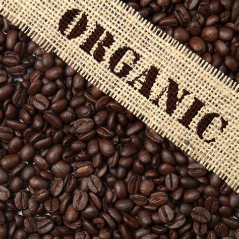 The Secrets of Organic Coffee Beans – What Makes Them Different? - The ...