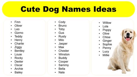 List of Cute Dog Names for Your Adorable Pet - GrammarVocab