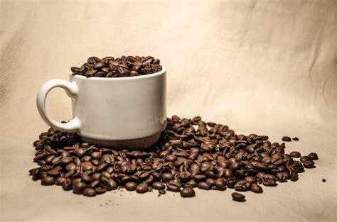 Organic Coffee Beans