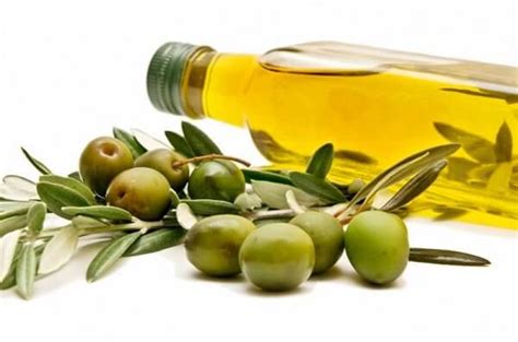 Cómo se hace el Aceite de Oliva | CurioSfera-Recetas.com